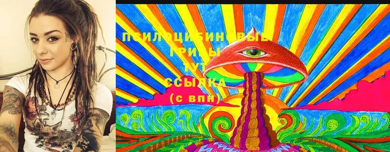 Псилоцибиновые грибы MAGIC MUSHROOMS  Алзамай 